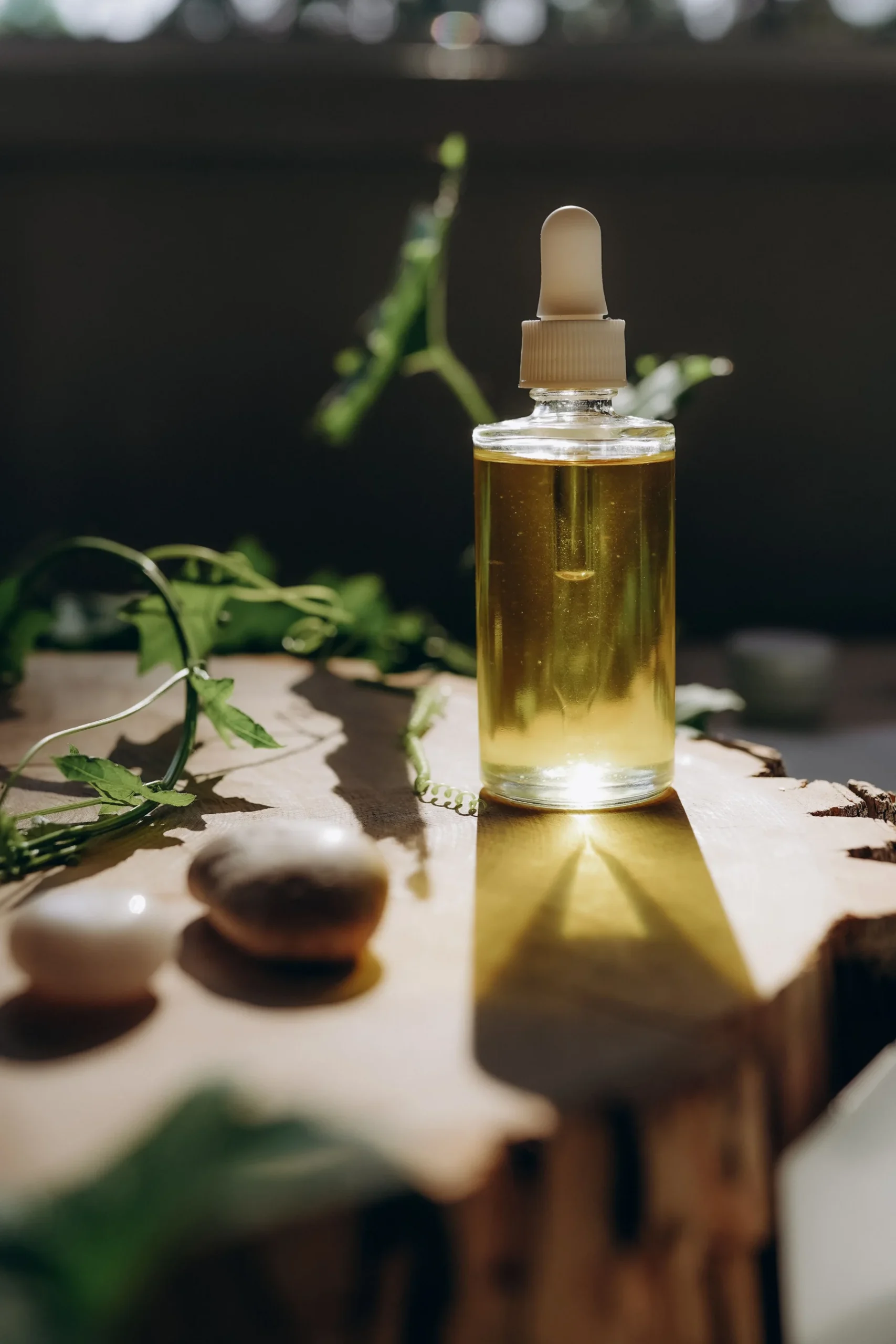 Flacon d’huile et végétaux éclairés par une lumière naturelle